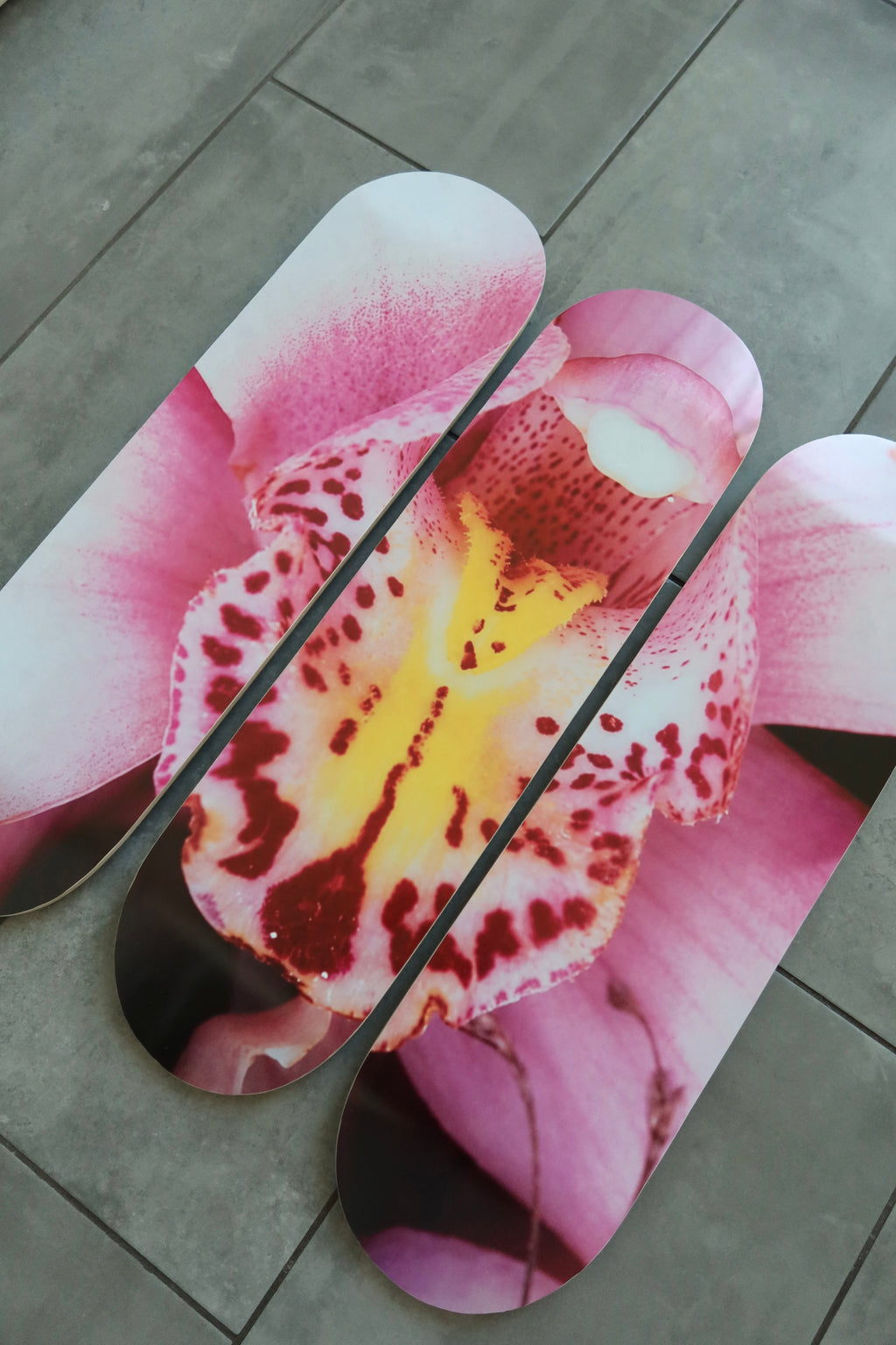 PINK ORCHID