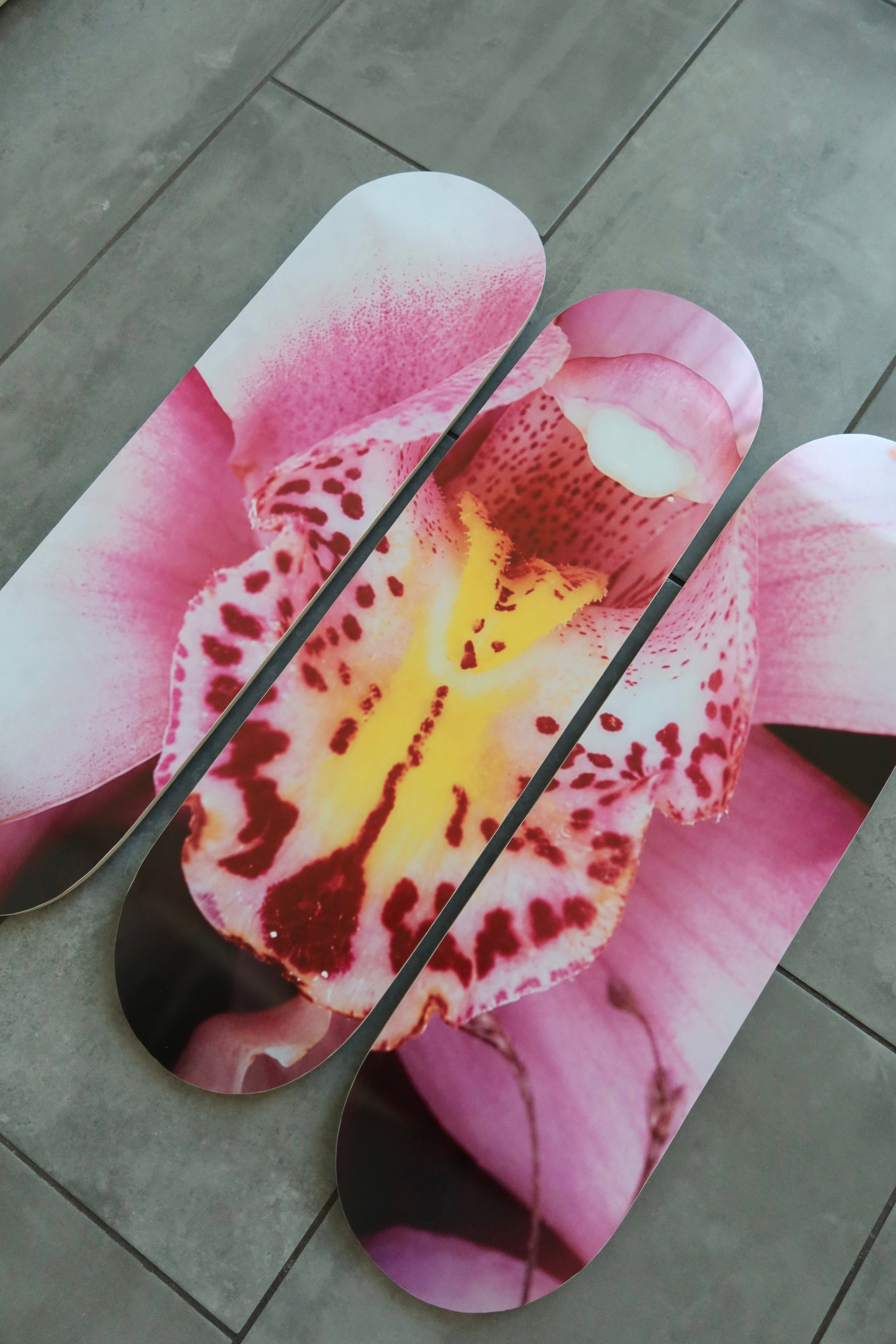 PINK ORCHID
