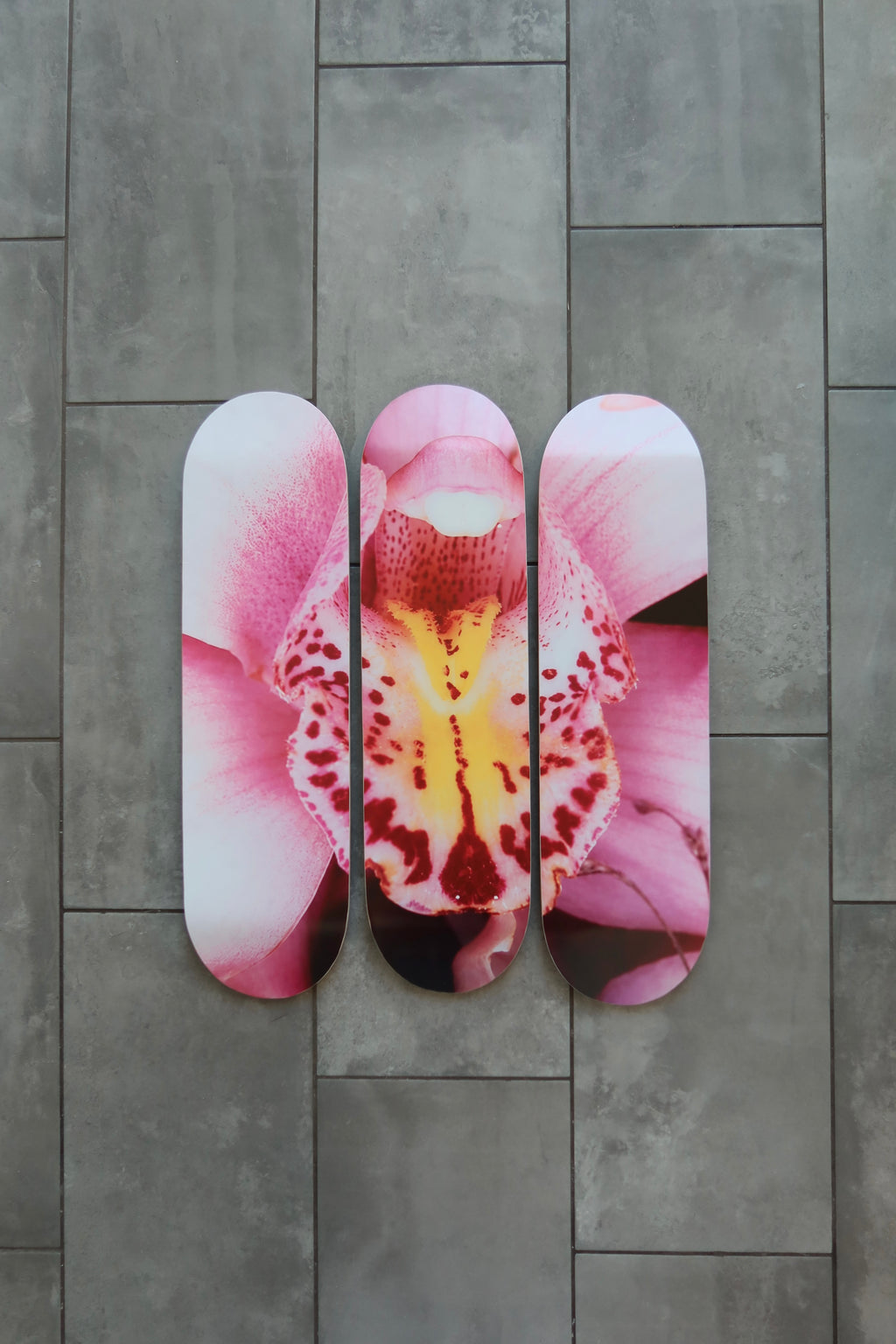 PINK ORCHID