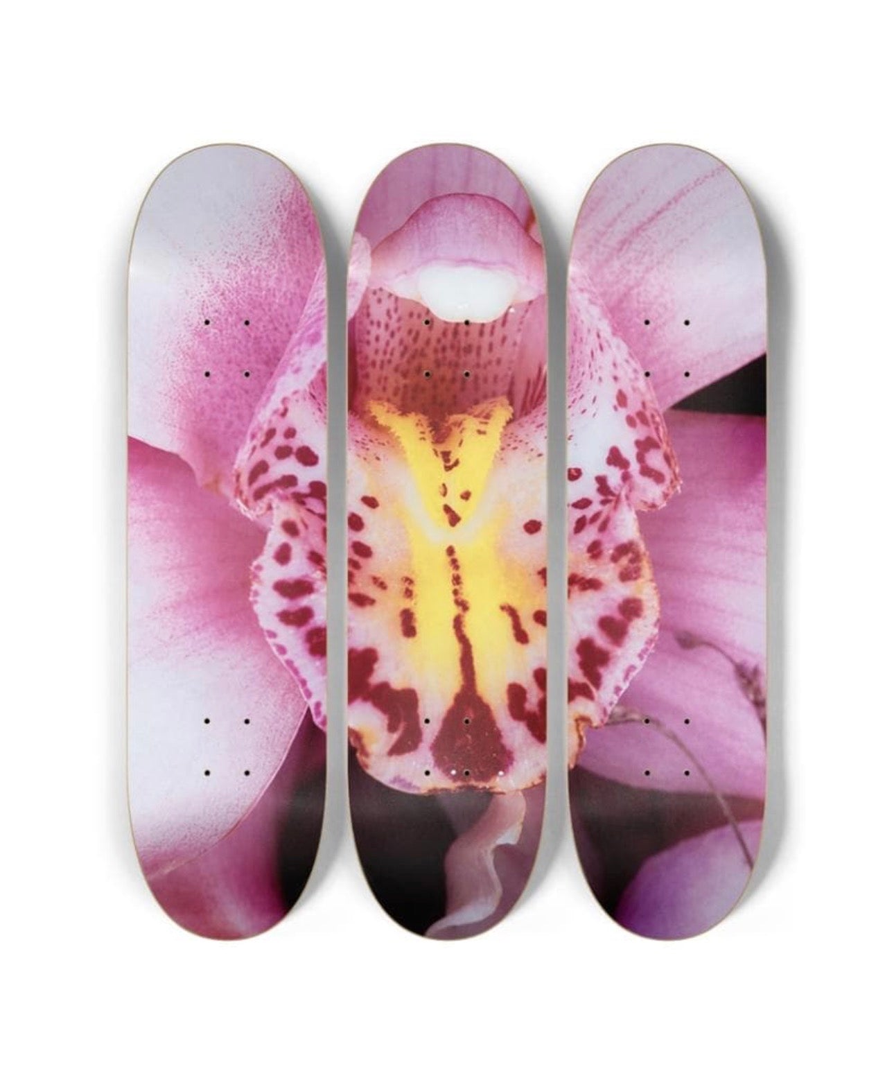 PINK ORCHID
