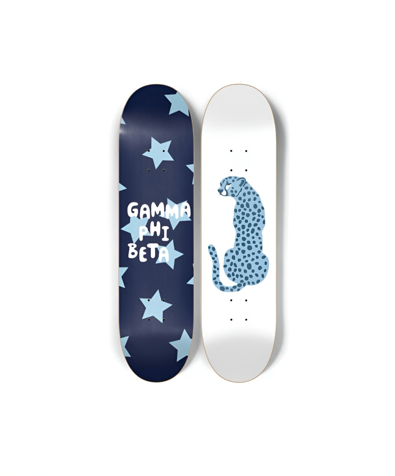 Gamma Phi Beta "sky safari"